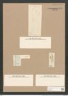 Pleurosigma var. peisonis Grun. (de-Toni-Nr.: Genus 13, Species 1076) Zeichnungen Sammlung Grunow Nr. 1975 (NHMW-BOT-W0369121)